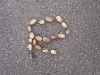 k-ogs_herbst11_versciedenes_61