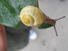 k-ogs_herbst11_versciedenes_64