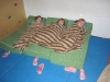 k-ogs_herbst11_versciedenes_68
